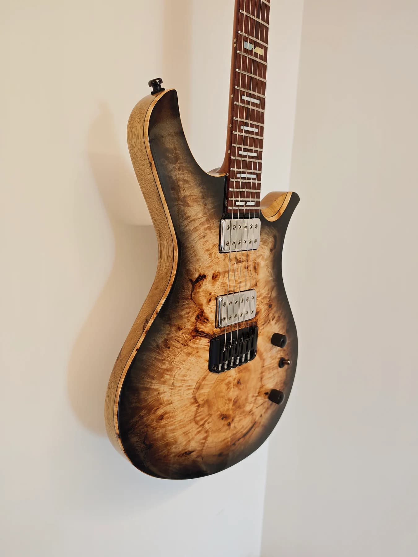 Liuteria Guitex Custom 24 (Italia - 2023) - foto 3