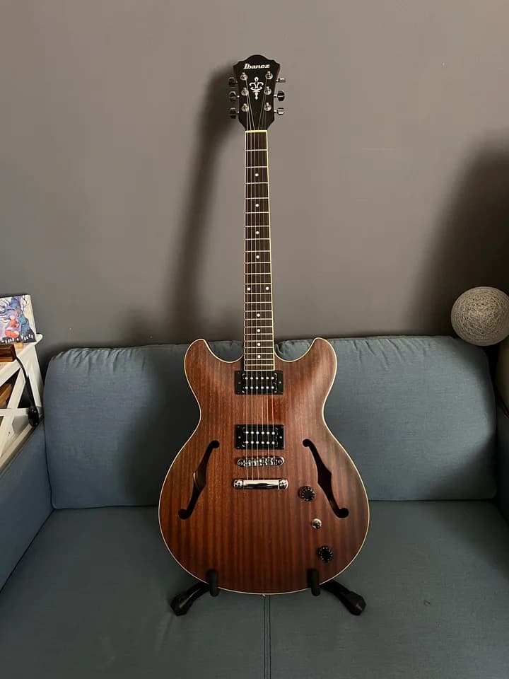 Ibanez As53 tf