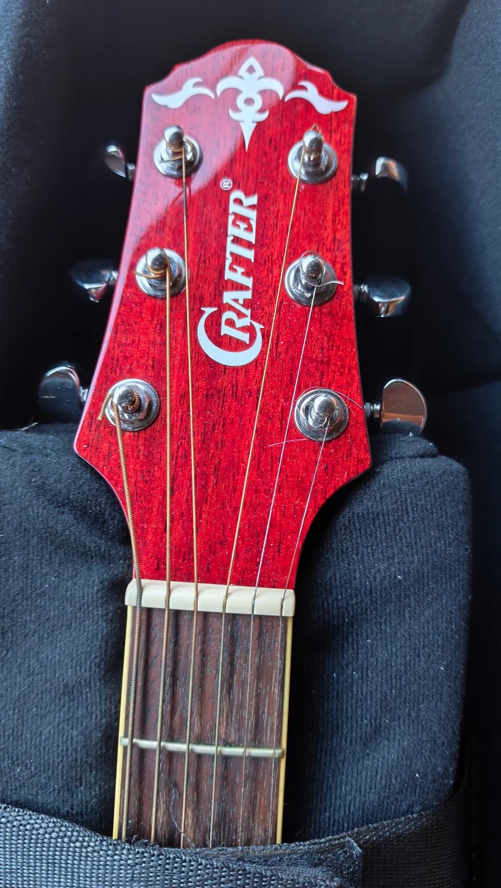 Crafter EG-110CEQ/RS (Italia) - foto 5